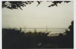 san francisco 3 001.webp