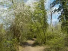 DSCN3607.webp