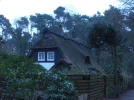 CIMG2447.webp