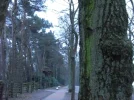 CIMG2435.webp