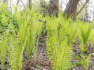 DSCF0124 (2).webp