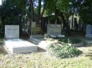 DSC02693.webp