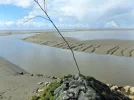 DSCF0275 (2).webp