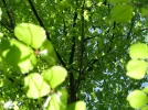 IMG_1286.webp