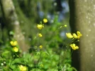 IMG_1309.webp