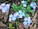 PICT0012.webp