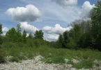 IMG_1363 (2).webp