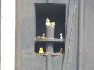 DSCF0372.webp