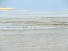 DSCF0367 (2).webp