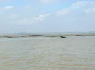 DSCF0368 (2).webp