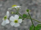 IMG_1345.webp