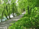 IMG_1420.webp
