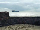 DSCF0077 (2).webp