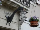 013.webp