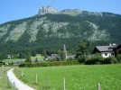 DSC00513.webp