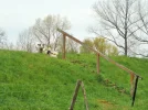 DSCF0136 (2).webp