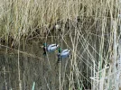 DSCF0158 (2).webp