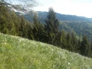 DSCN3647.webp