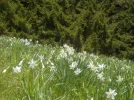 DSCN3646.webp