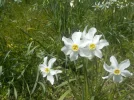 DSCN3650.webp