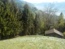 DSCN3655.webp