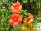 DSCF8690 (2).webp