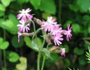 IMG_1454 (2).webp