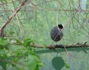 IMG_1460 (2).webp