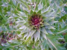 DSCF9655.webp