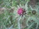 DSCF9664.webp