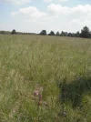 DSCF9679.webp
