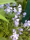 Foto0468.webp