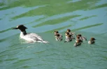 IMG_1535 (2).webp