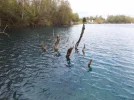 DSCF0227 (2).webp