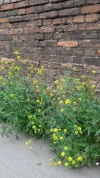 20170515_160917.webp