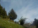 DSCN3656.webp