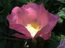Dscn9425.webp