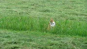 IMG_1599.webp