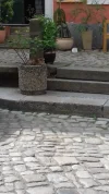 20170521_105017.webp