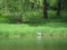 IMG_1408.webp