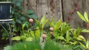 DSCF8675.webp