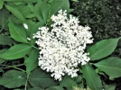 PICT0002.webp
