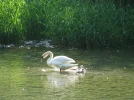 IMG_1627.webp