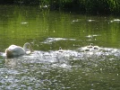 IMG_1630.webp