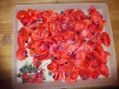 20170525_190130.webp