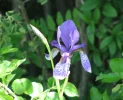 IMG_1709 (2).webp