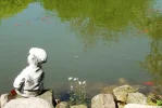 SAM_0005.webp