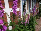 SAM_0001.webp