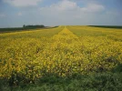 DSCF9647.webp