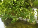 DSCN0683 (2).webp